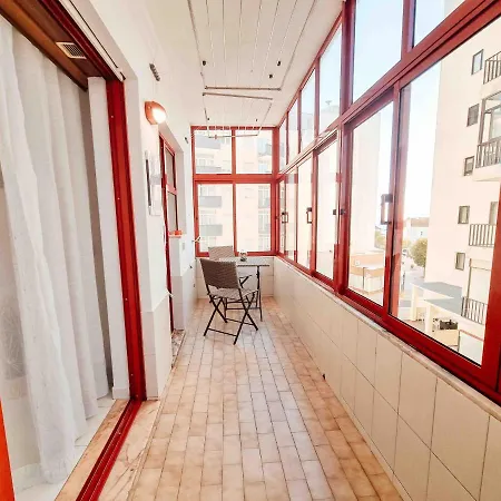 Rocha Candimar Sunflower